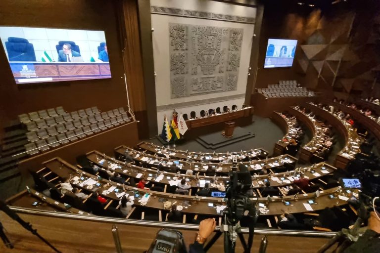 diputados